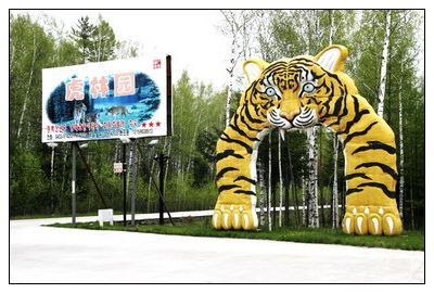 长白山—东北虎林园