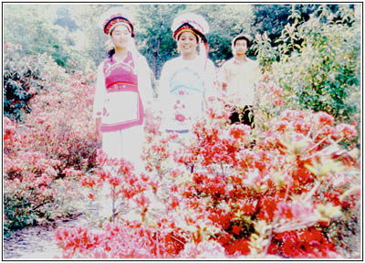 白族人与花的渊源 白族人与花的渊源