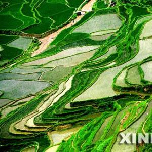 苗乡梯田好风光