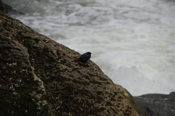 贵州景点图片 贵州景点图片