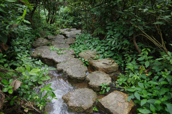 贵州景点图片 贵州景点图片