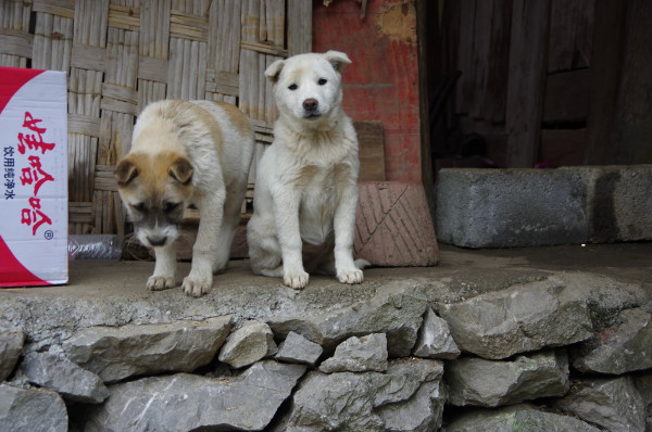 贵州图片 贵州图片