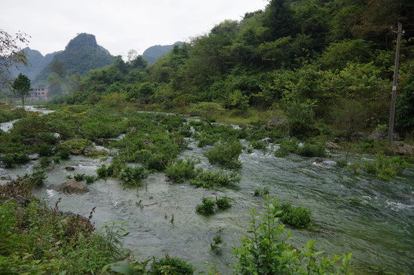 贵州自助游图片 贵州自助游图片