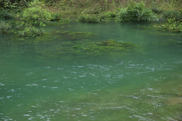 贵州自助游图片 贵州自助游图片