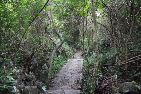 贵州自助游图片 贵州自助游图片