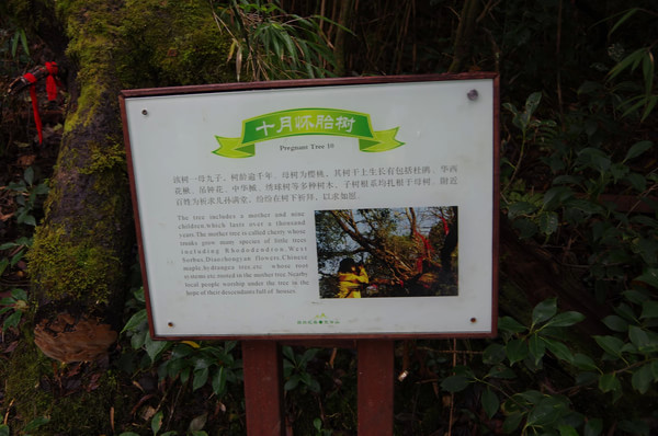 贵州旅游攻略图片 贵州旅游攻略图片