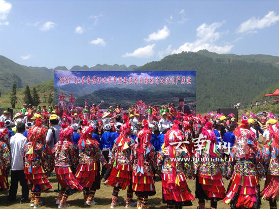 荞菜节文艺展演共舞场面