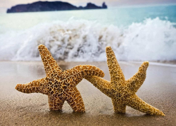 与人交往不必逢场作戏 \