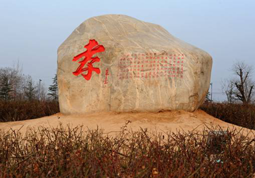 孝道与感恩文化 \