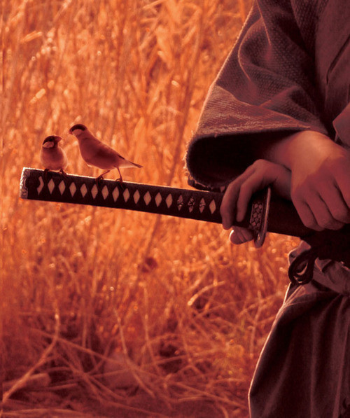 中国传统文化中的八大智慧 \