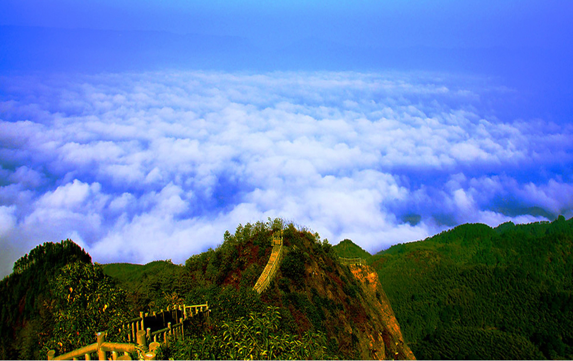 “箕山之节”的典故