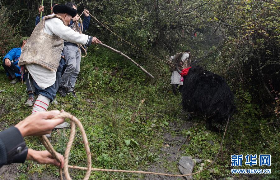 (晚报)(2)四川理县:“白石祭”再现古羌民族文化